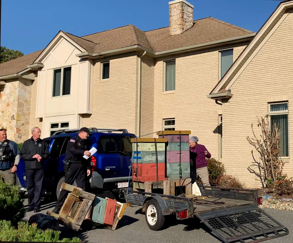 Police say that Woods had thousands of bees in manufactured hives on the flatbed trailer attached to her SUV.
