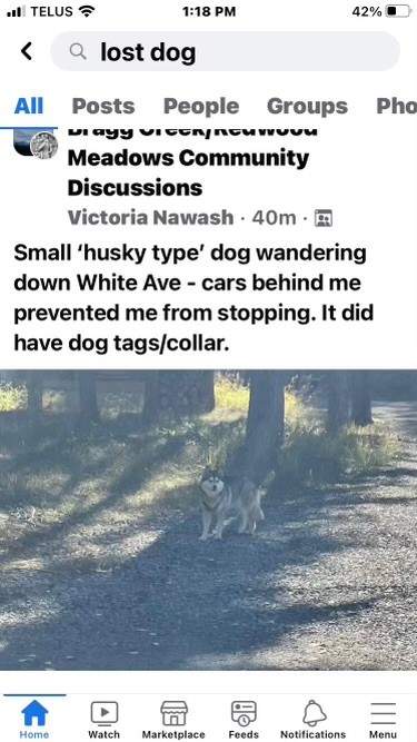 Facebook post