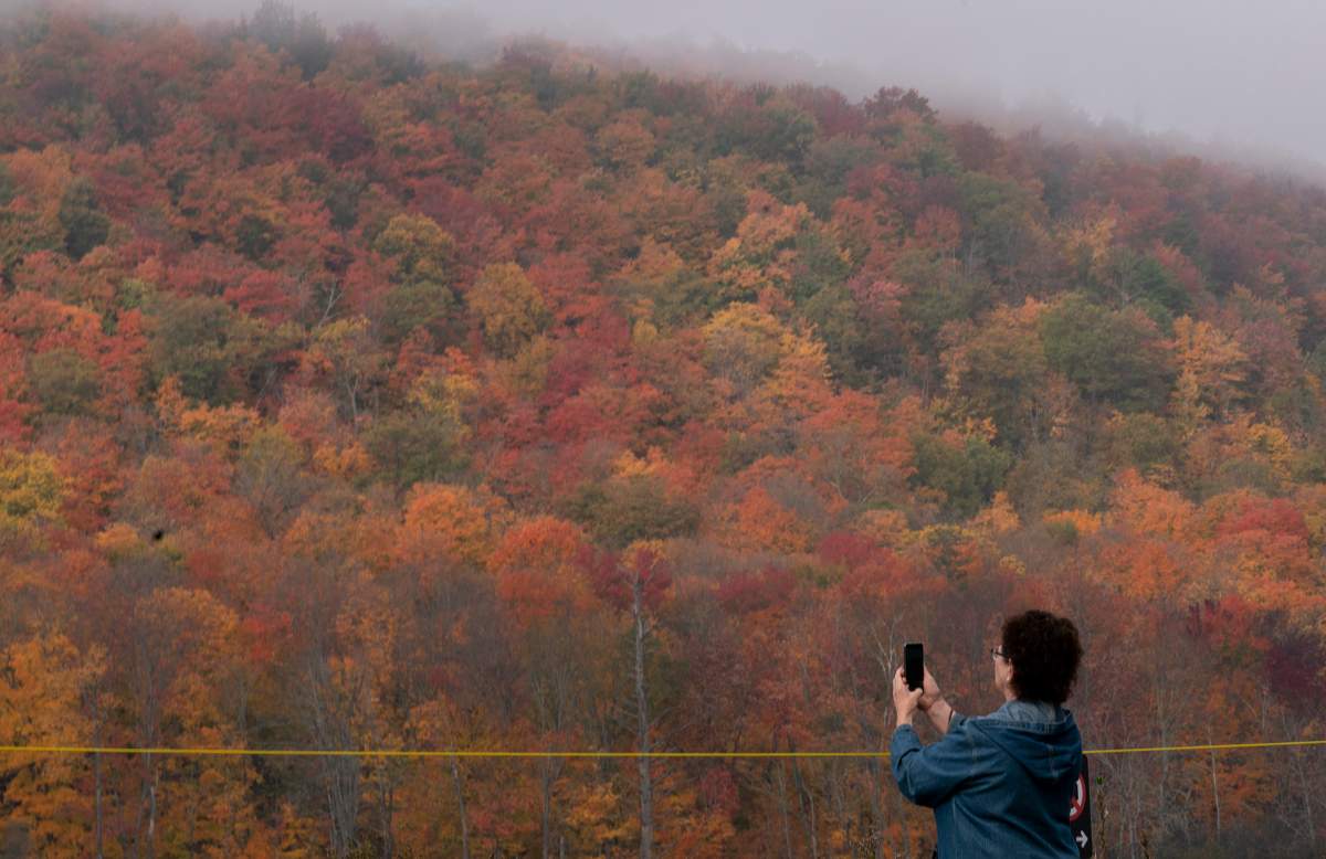 Gatineau Park