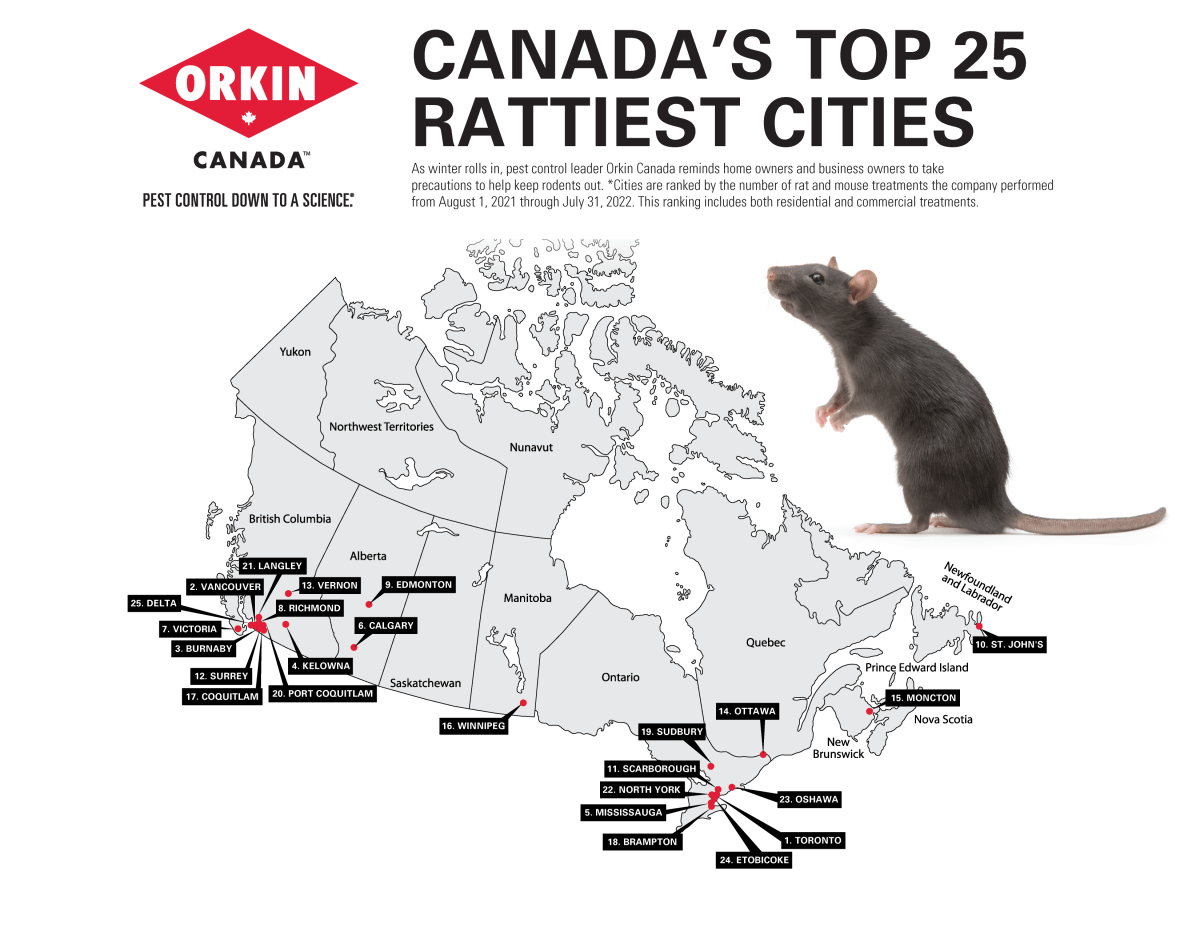 Orkin Canada released its ratty city list.
