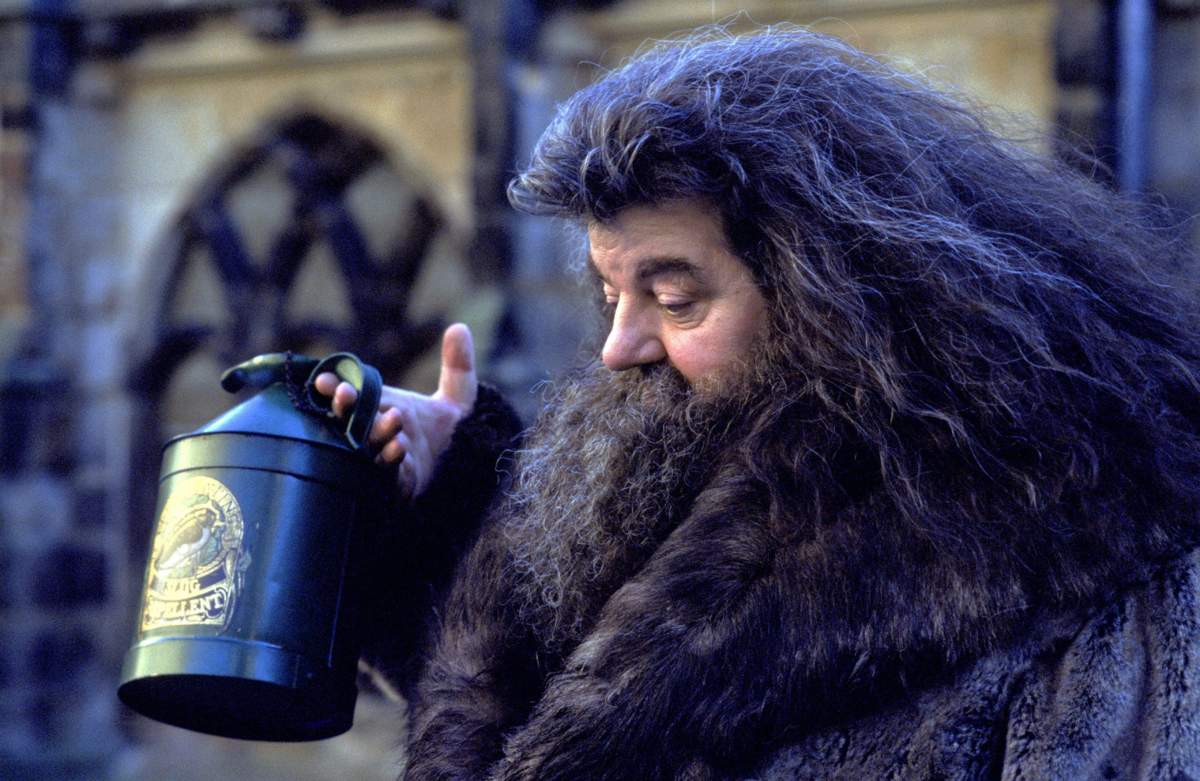 Robbie Coltrane as Hagrid