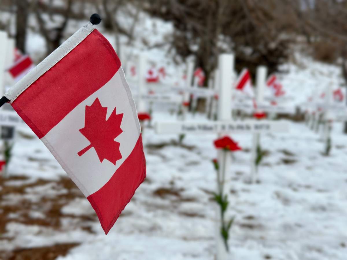 Field of Crosses, Memorial Drive in Calgary, November 2022.