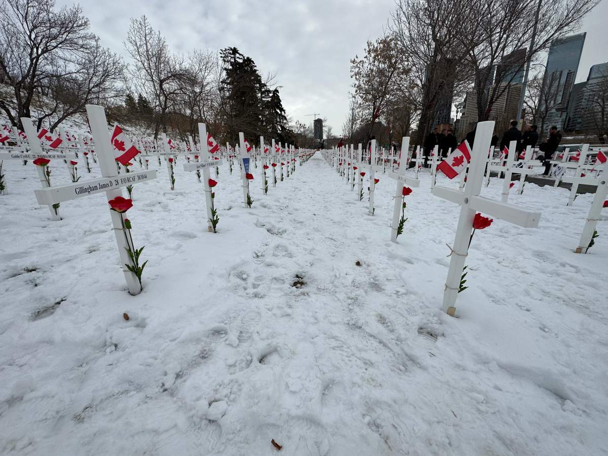 Field of Crosses, Memorial Drive in Calgary, November 2022.