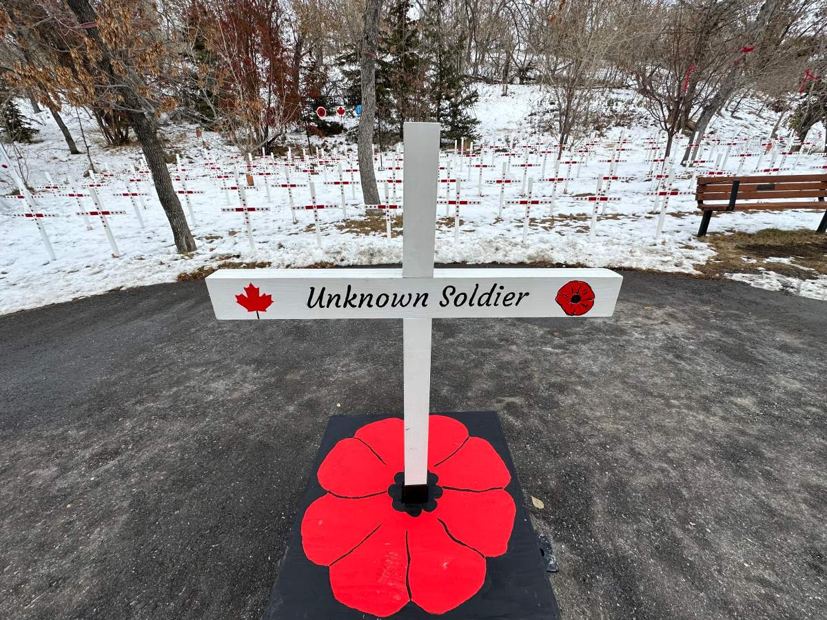 Field of Crosses, Memorial Drive in Calgary, November 2022.
