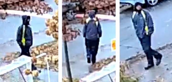 Police are searching for a man in a criminal harassment investigation.