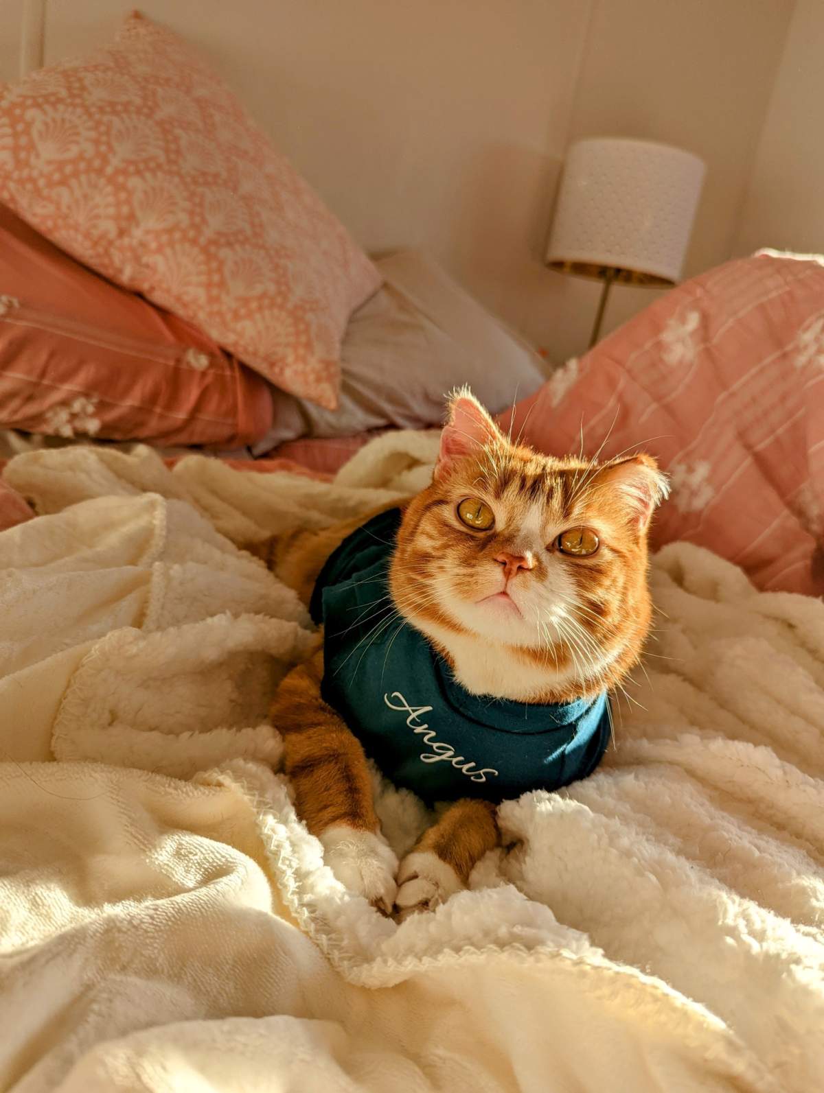Angus wearing his own personalized shirt.