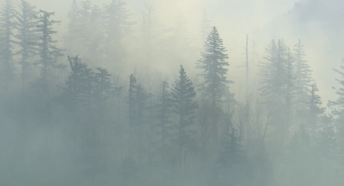 Smoke billows from one of two wildfires burning near Agassiz in B.C.'s Fraser Valley. The Bear Mountain and Limbert Mountain wildfires were detected Thurs. Nov. 18, 2022.