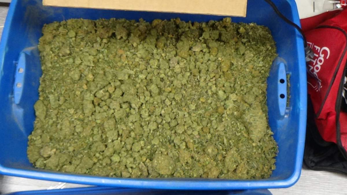 The Provincial Joint Forces Cannabis Enforcement Team (PJFCET) seized a total of approximately 110 kilograms of dried cannabis on Nov. 9, 2022.