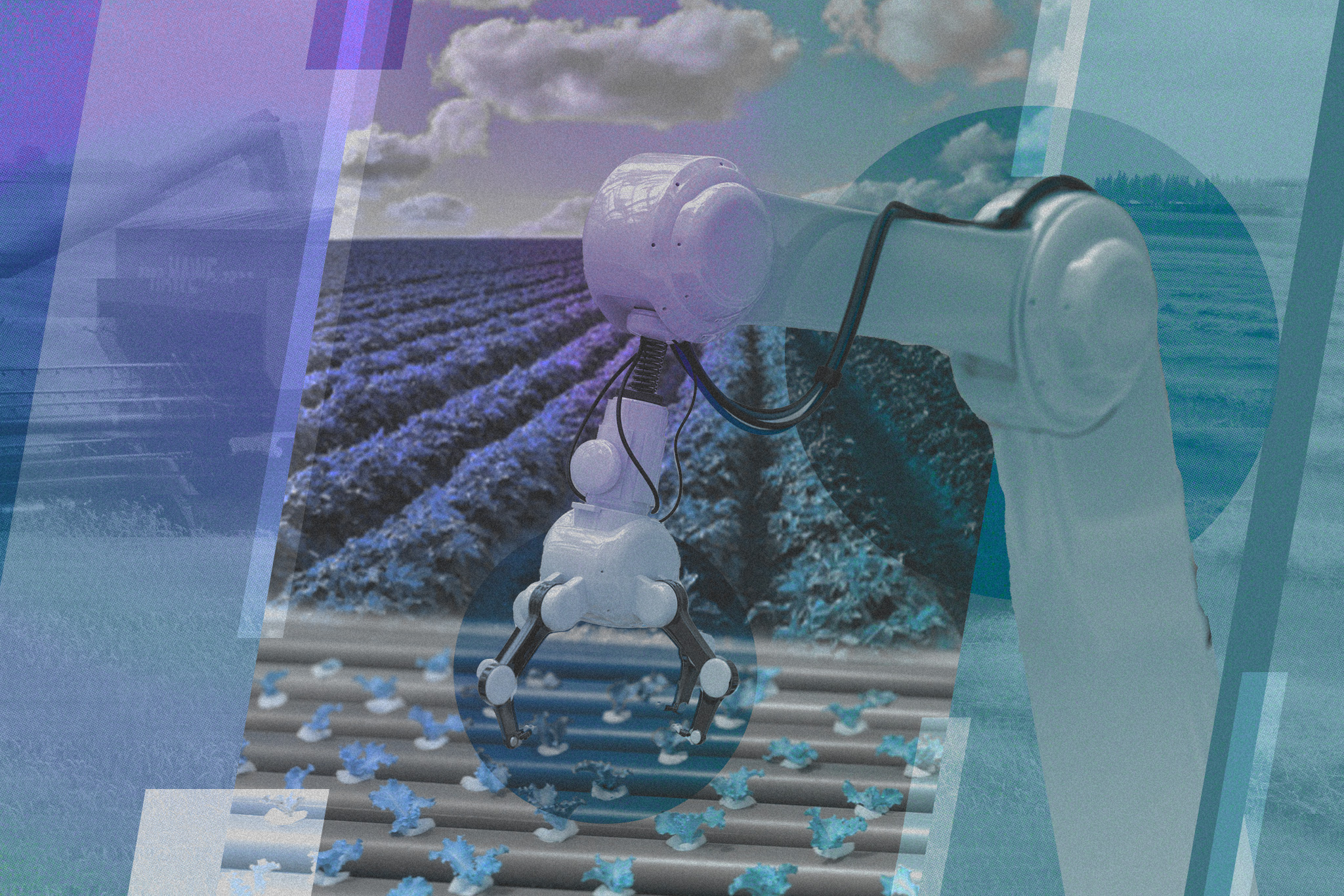 Automation Nation Story 2