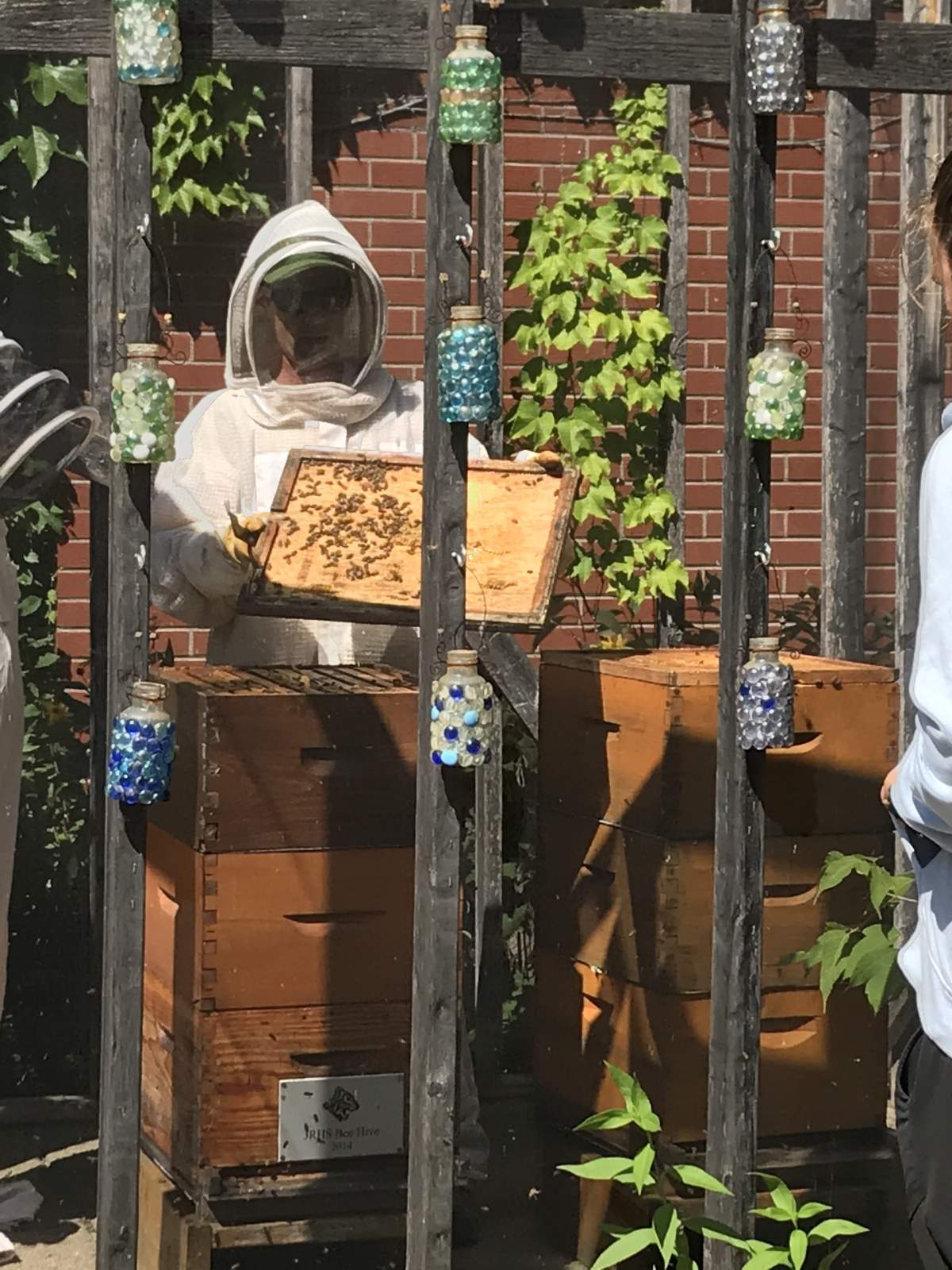 John Rennie High School in Pointe-Claire has two beehives on the school's property.
