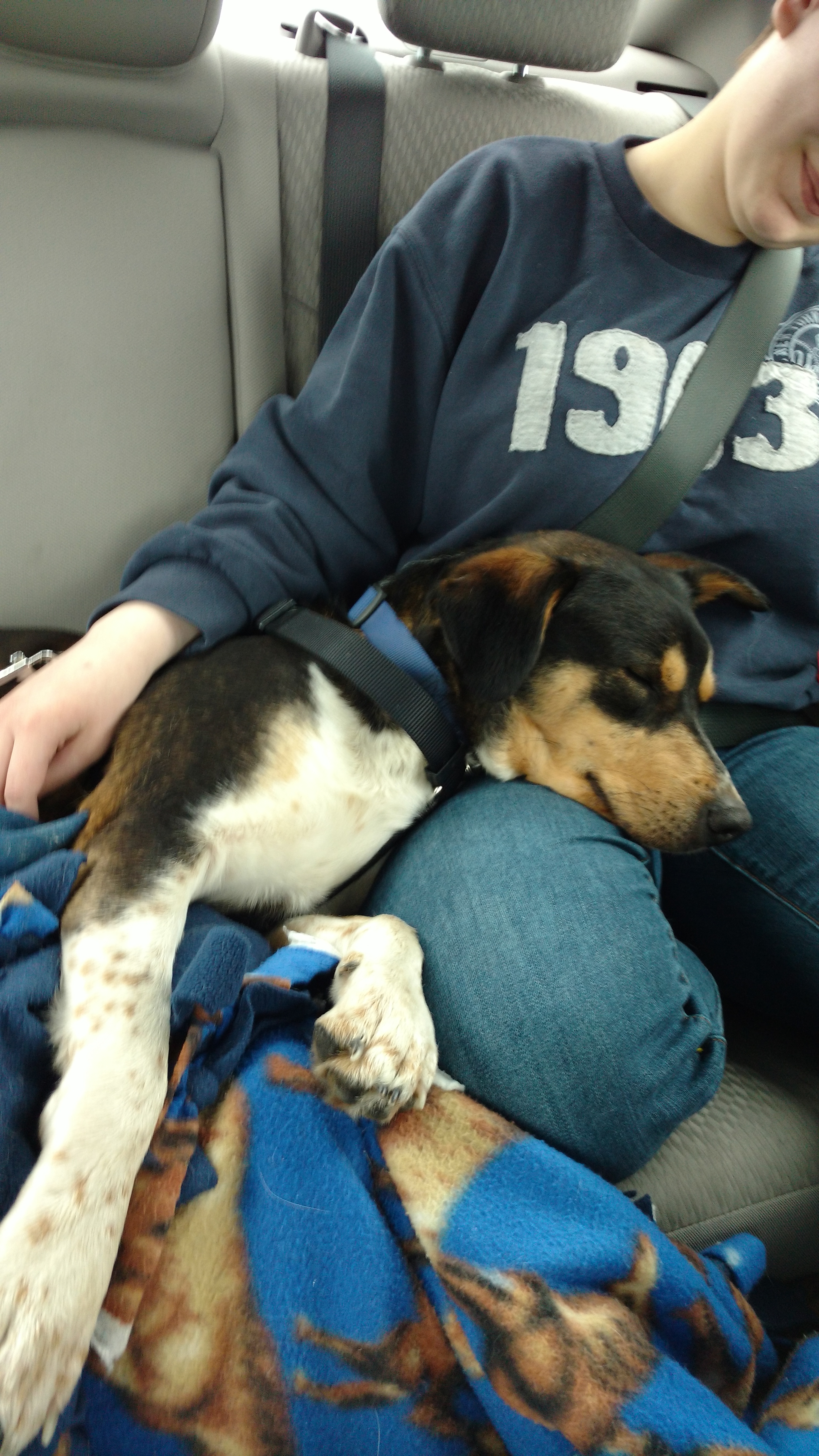 Jocelyn and Amani on their way home from picking him up in Maine. After Jocelyn’s death, her parents continue to care for her dog.