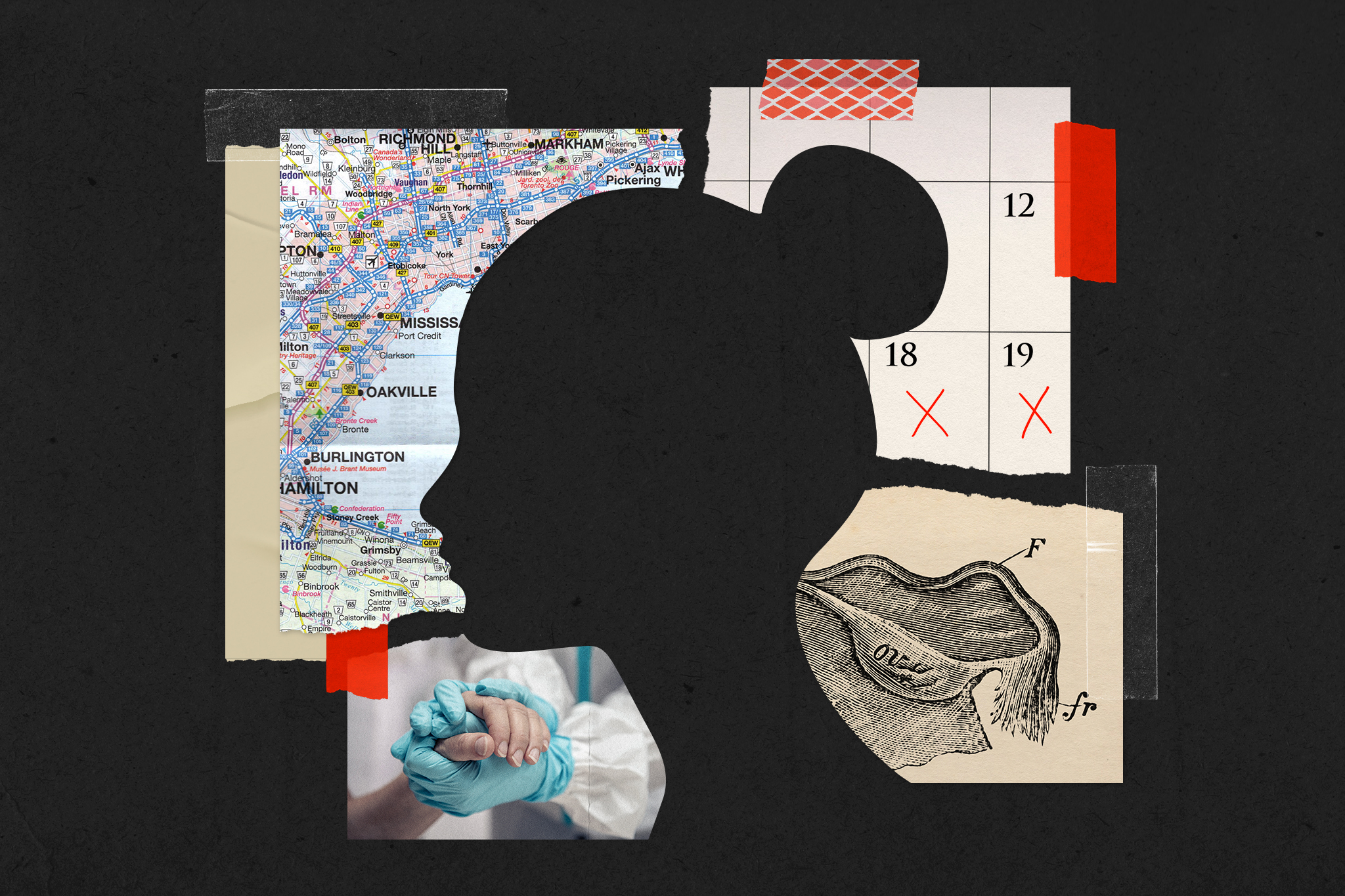 A collage showing a silhouette of a woman, a map of Ontario, a calendar, a health-care worker holding someone's hand, and a ovary diagram. 