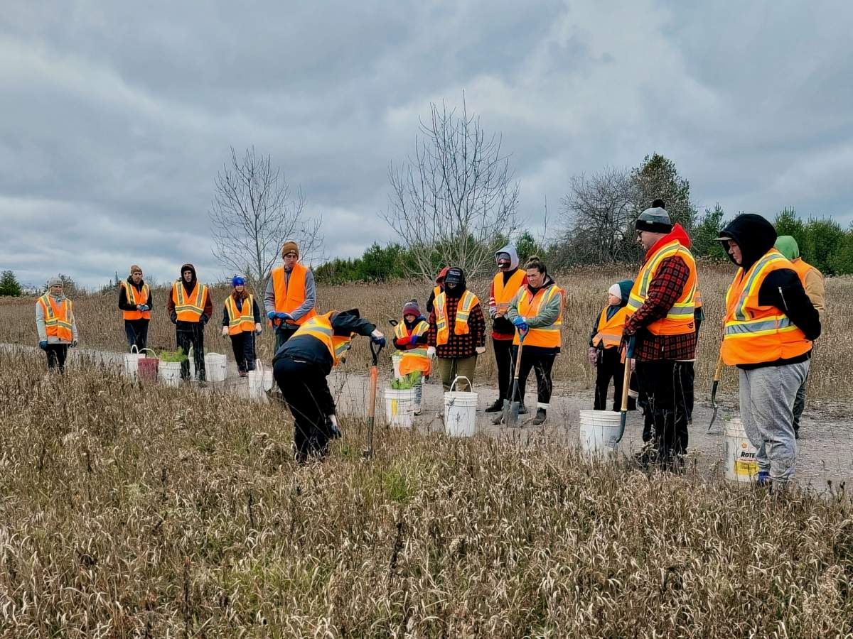 Meredith Carter from Otonabee Conservation demonstrates how to plant a tree with volunteers from the Métis Nation of Ontario.