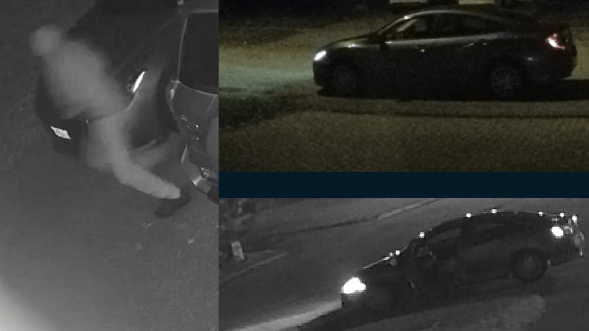 With the assistance of area residents, Niagara police were able to obtained surveillance footage of a suspect accused of damaging several cars in a spree overnight on Nov. 29, 2022.