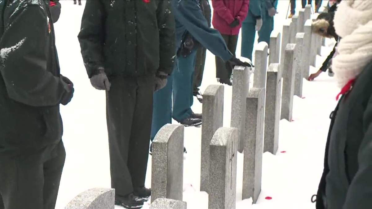 Poppies being placed at a No Stone Left Alone remembrance ceremony at Beechmount Cemetery in Edmonton, Alta. on Monday, Nov. 7, 2022.