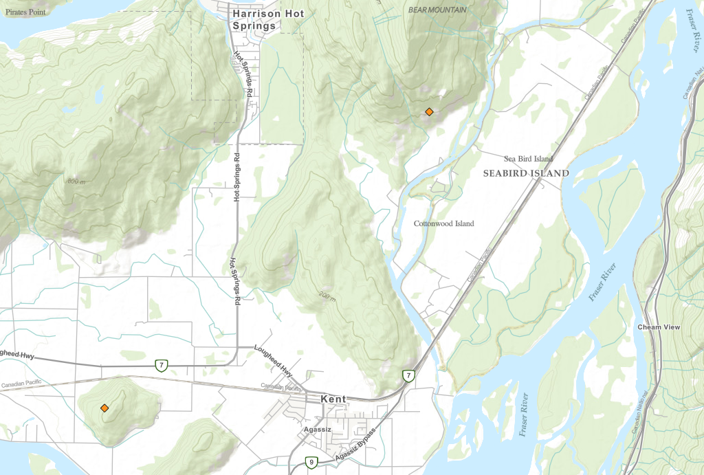 Orange markers in a screenshot from the B.C. Wildfire Service's dashboard show two fires burning in the Fraser Valley on Thurs. Nov. 17, 2022.