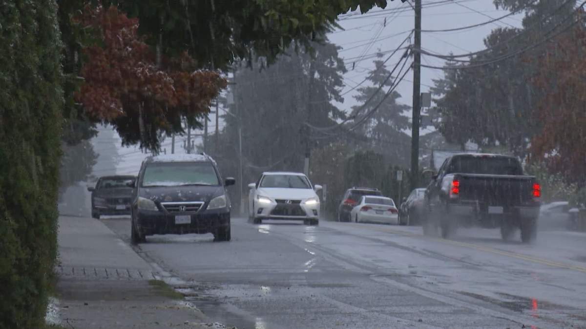 Vehicles parked in the 11700 block of 84th Avenue in Delta on Nov. 6, 2022.
