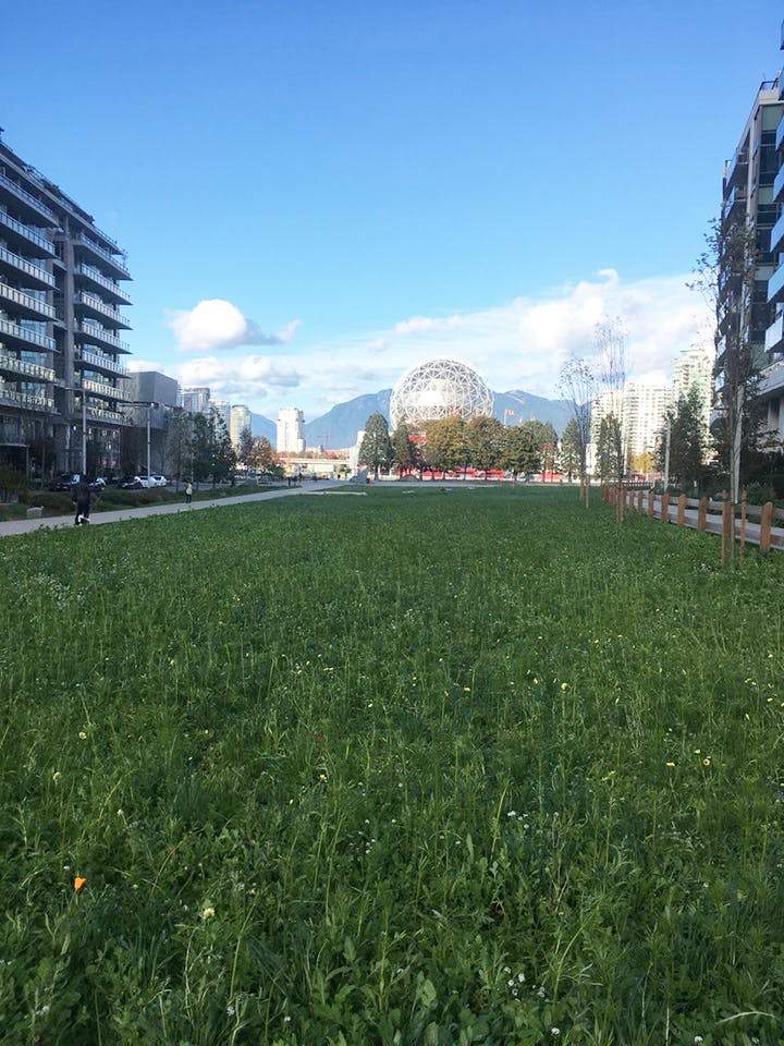 A view of Science World from the strip of undeveloped land east of the Olympic Village that will become a part of East Park.