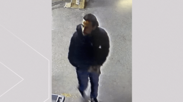 Video captures thieves stealing animal rescue van from Toronto Humane Society - image