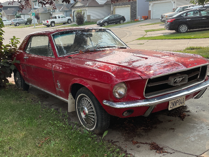 Missing Mustang located, mystery remains about its journey to Winnipeg from Calgary - image