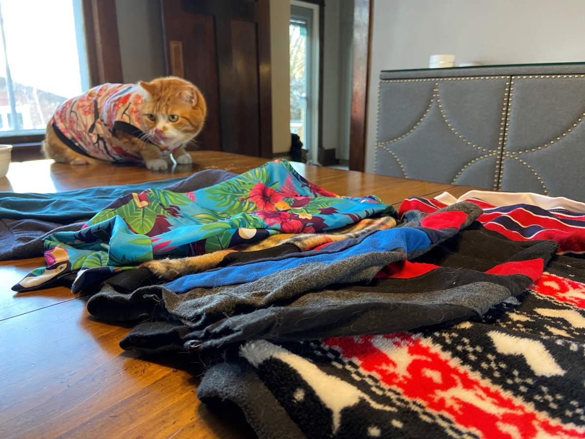 Angus’ wardrobe