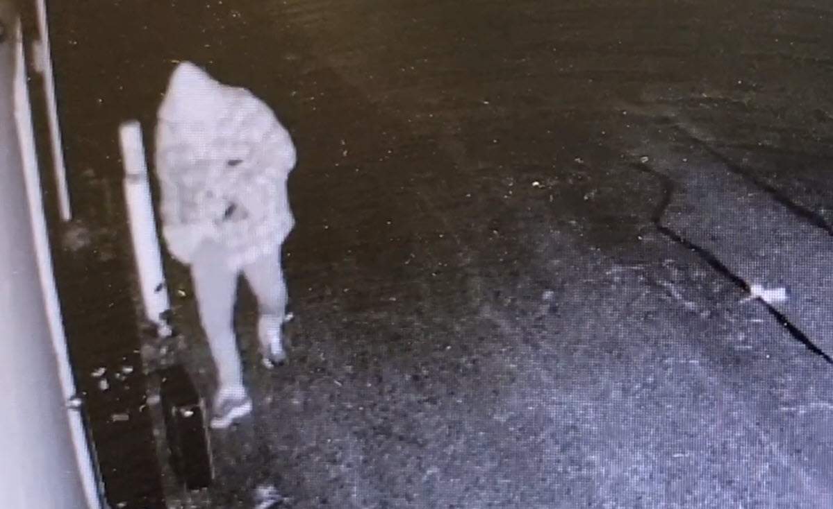 OPP looking for suspect in rooftop break and enter in Fergus.