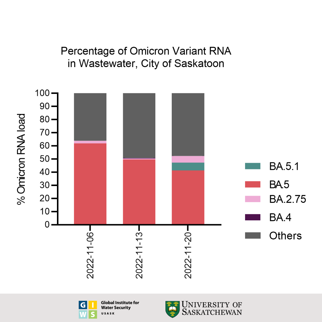 Percentage of Omicron variant RNA found in Saskatoon wastewater.