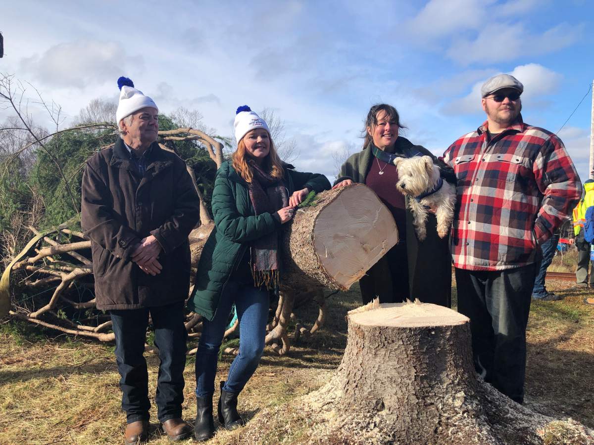 ‘Meant to be’: N.S. family says an honour to donate 2022 Tree for Boston - image