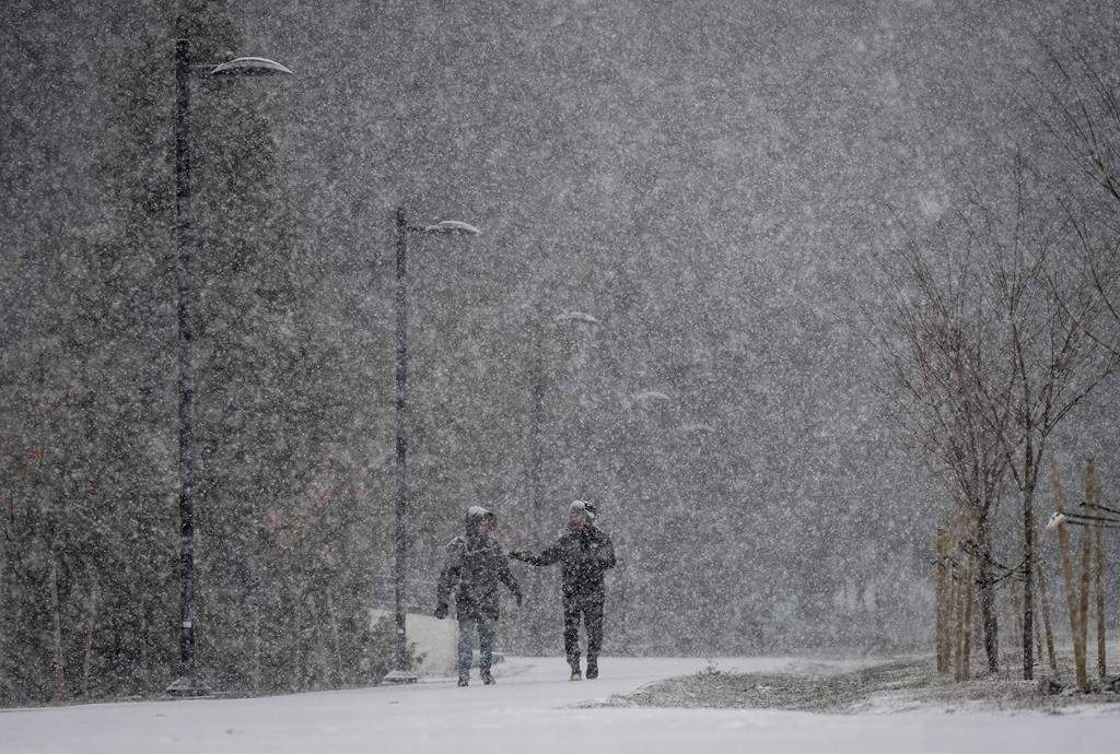 Heavy snow falls as pedestrians walk through Central Park in Burnaby, B.C., on Tuesday, Nov. 29, 2022. THE CANADIAN PRESS/Darryl Dyck.