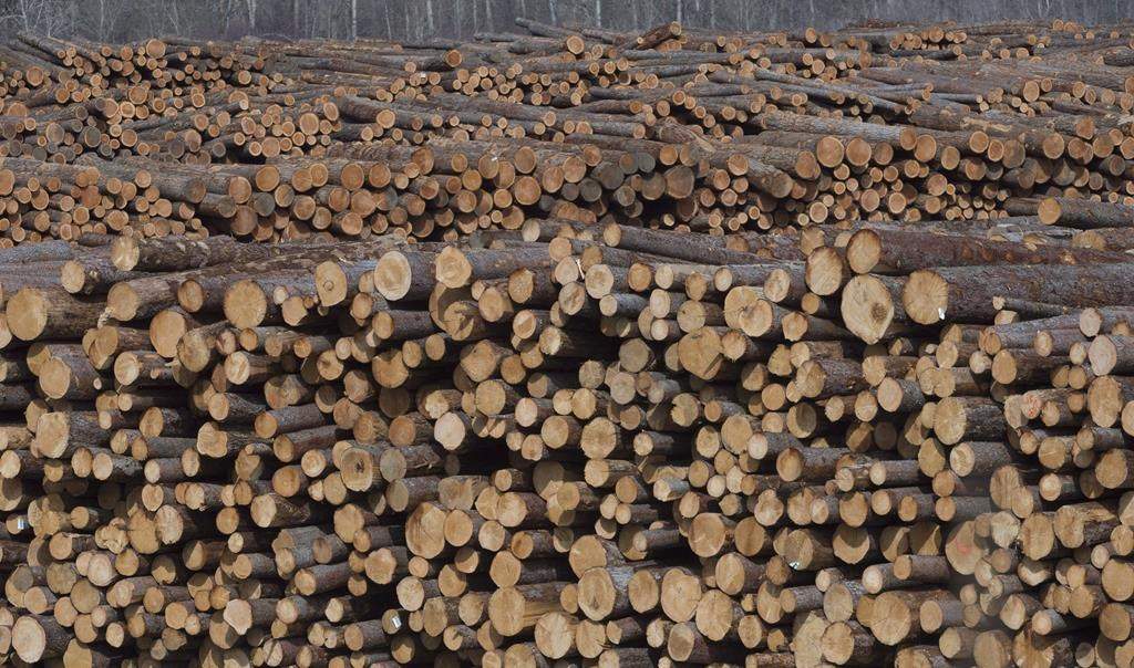 Tolko Industries has announced it will be extending its holiday shutdown period at its Soda Creek and Armstrong Lumber divisions.