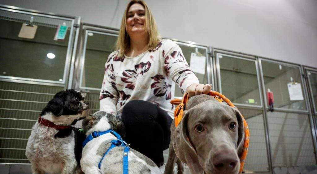 Melissa David of Parachutes for Pets and her dogs Hudson, Jack and Charlie, are seen in Calgary, Alta., Thursday, Feb. 6, 2020.