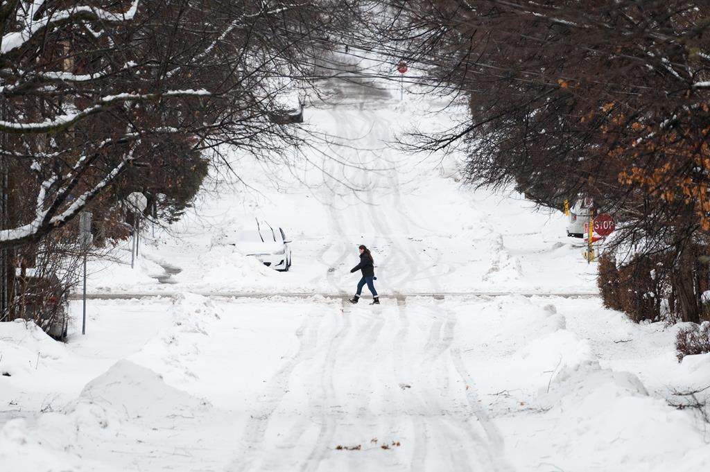 A person walking in the snow in the Sandy Hill neighborhood in Ottwa