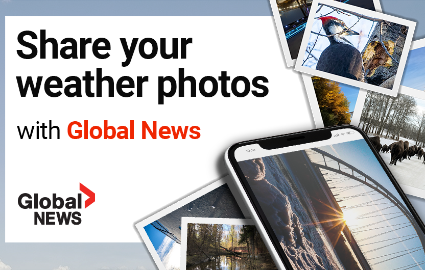Global News Viewer Photos - image