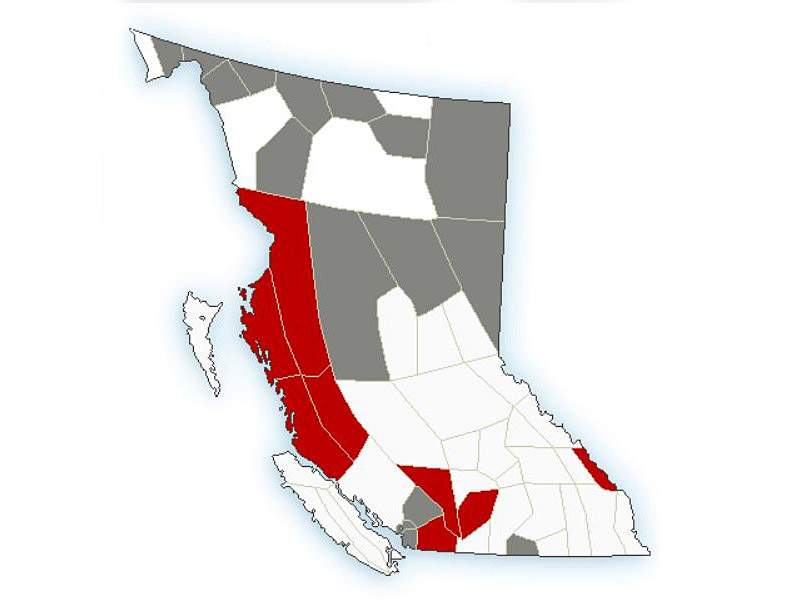 A map showing weather alerts for British Columbia on Saturday, Dec. 17, 2022. The alerts range from special weather statements in grey to warnings in red.