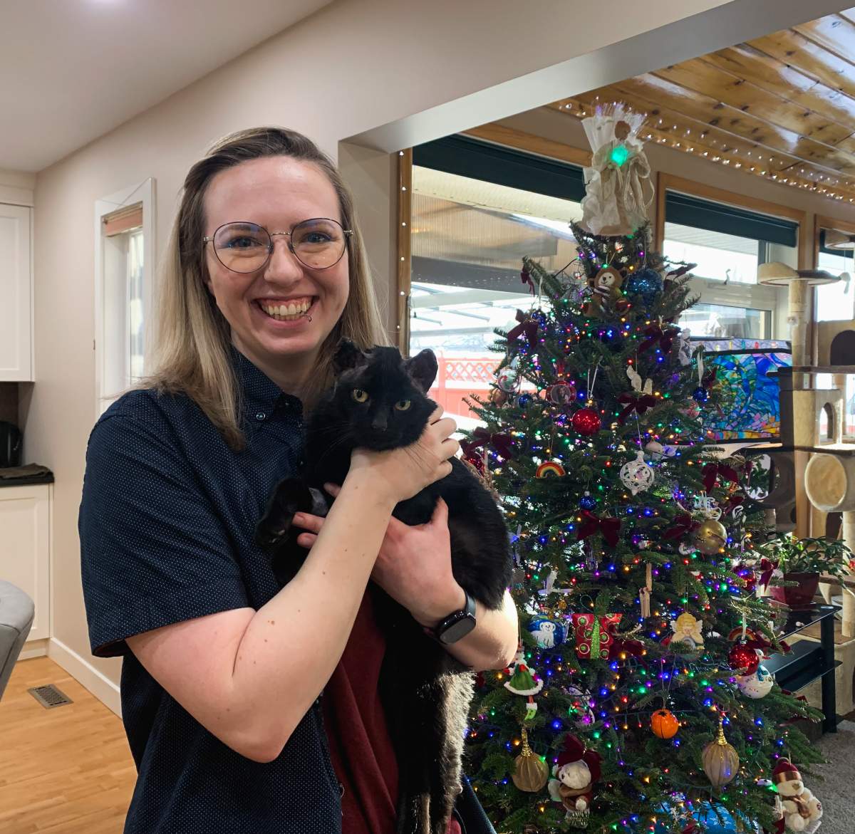 Frozen to the pavement: Blaze the cat has 8 lives left after Regina rescue - image
