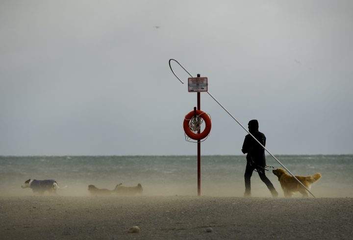 A dog walker fights the wind along with blowing sandy conditions on Woodbine Beach in Toronto on Monday, February 25, 2019. 