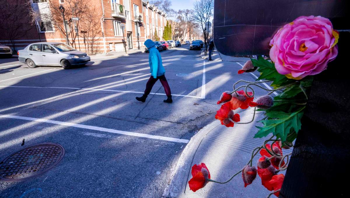 7-year-old Ukrainian girl victim in suspected hit-and-run in Montreal - image