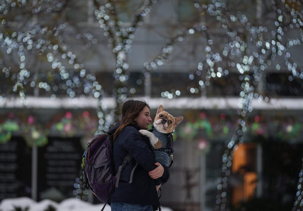 Woman carrying dog