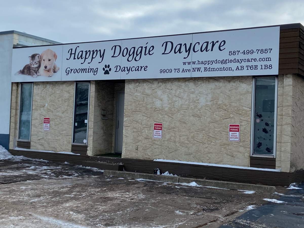 Happy Doggie Daycare ( 9909 73 Ave.) in south Edmonton on Monday, Dec. 12, 2022.