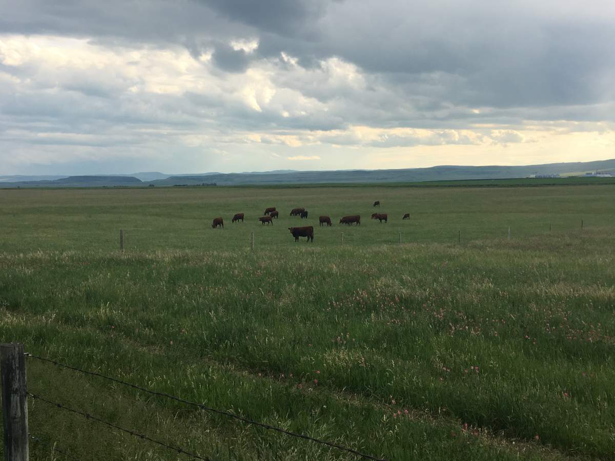 Rural Alberta
