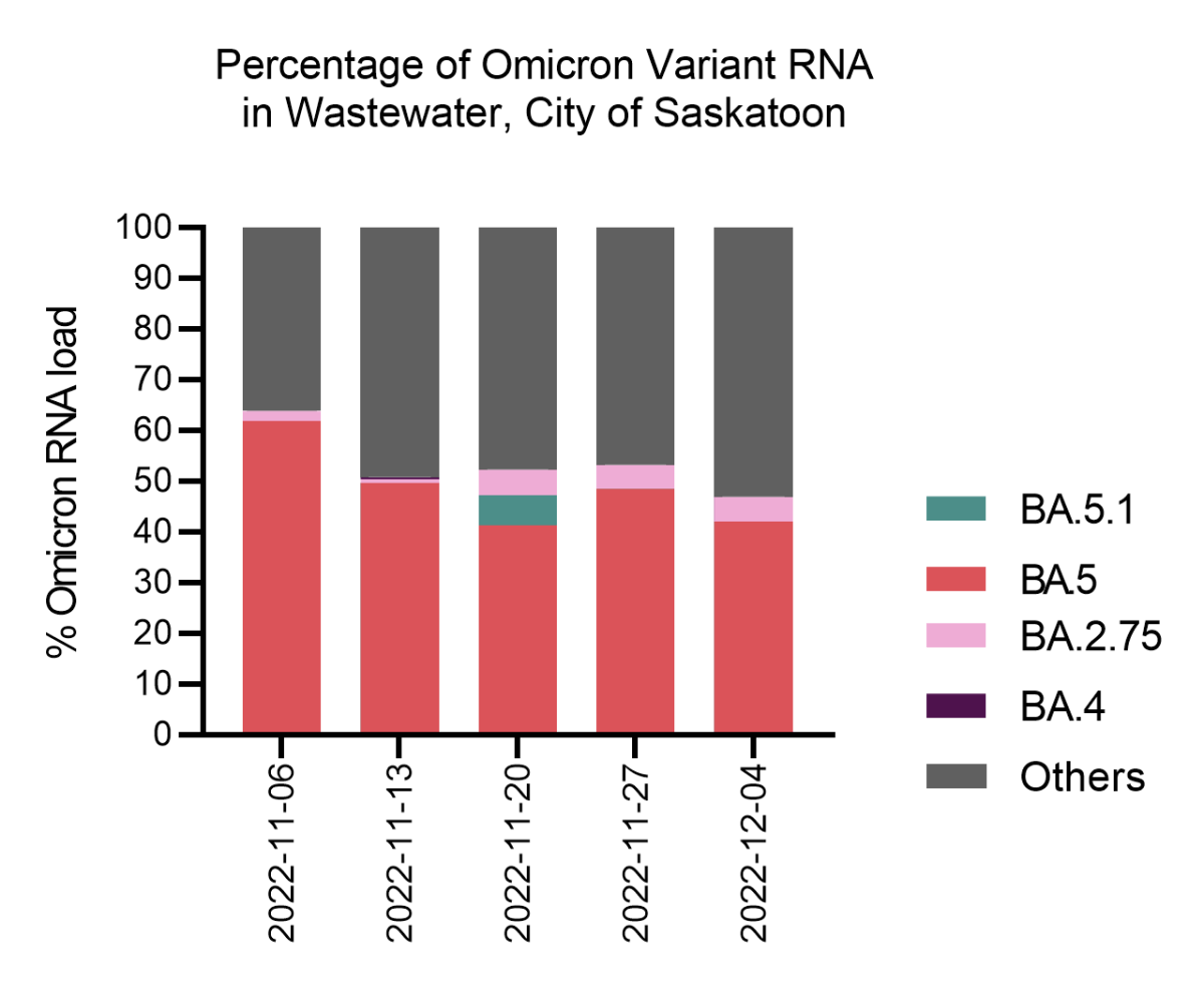 The percentage of Omicron variant RNA found in the wastewater in Saskatoon.