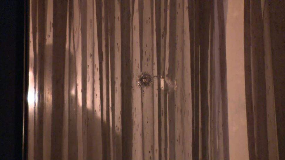Apparent bullet holes were seen in the window of the home.