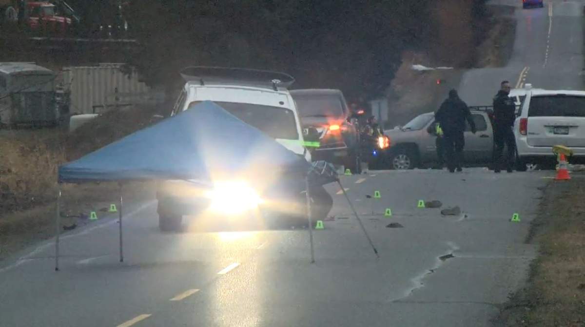 A person has died after being struck by a Dodge Ram pickup truck in Abbotsford, B.C., police say.