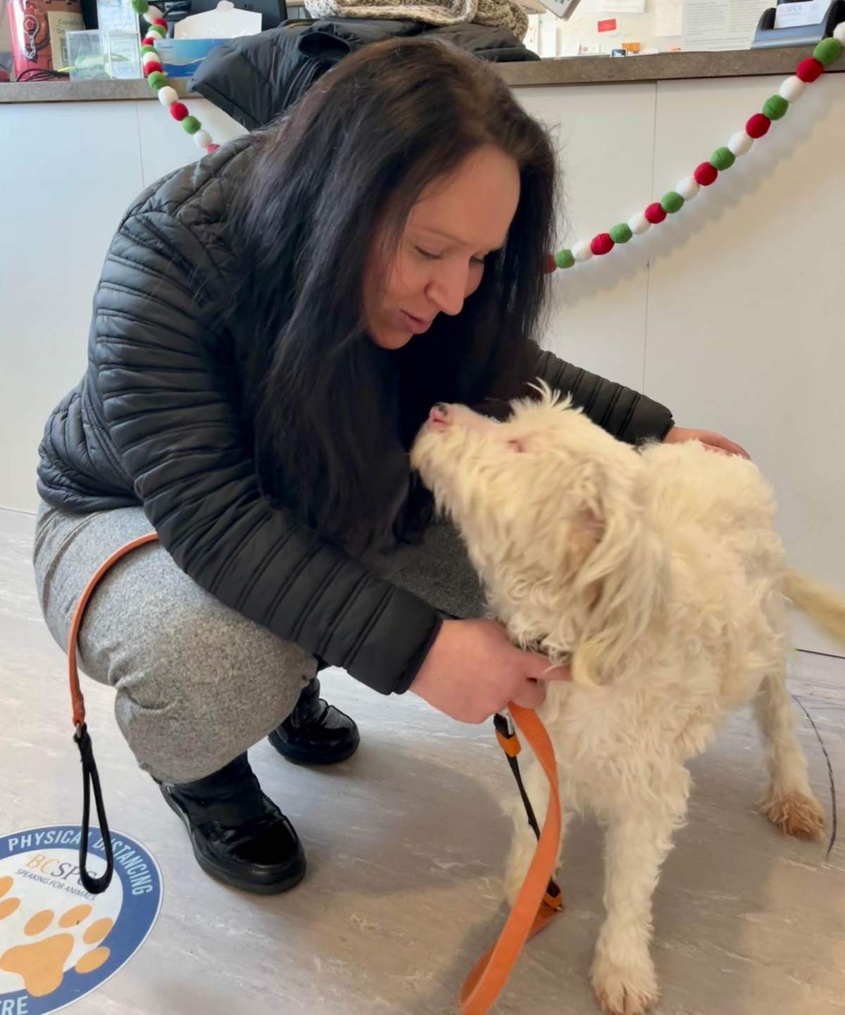 Cliff the dog found his forever home in Penticton.