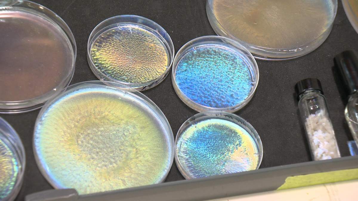 USask researchers created an alternative to glitter that doesn't use microplastics.