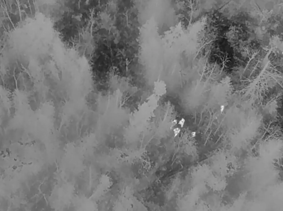 Drone footage of police helping a man through the woods in Cavan south of the city.