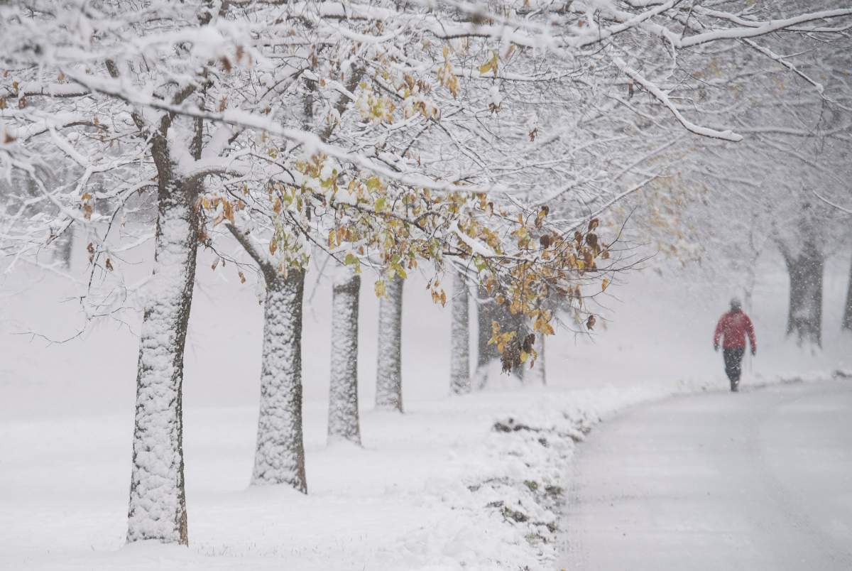 A person walks through a snow-covered park in Montreal, Wednesday, Nov. 16, 2022.