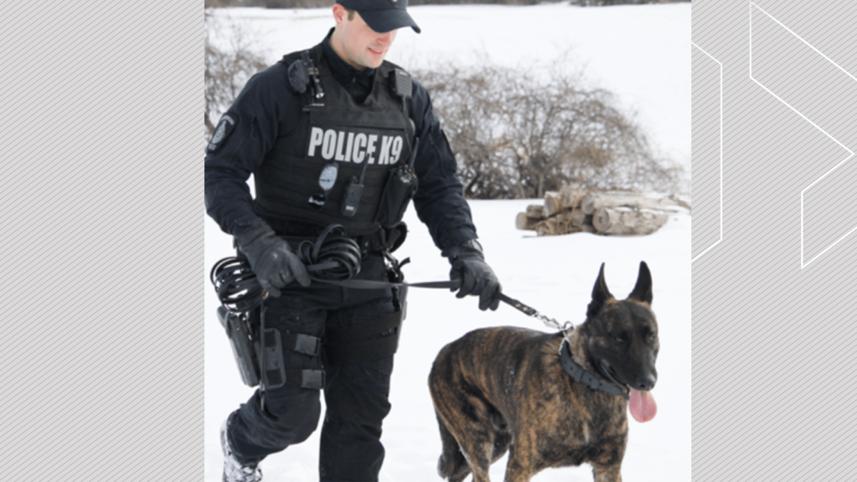 Peterborough Police Service Dog Gryphon with handler Const. Dillon Wentworth.