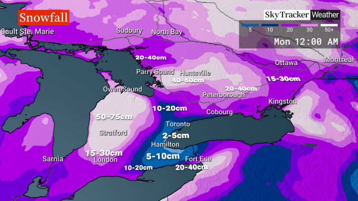 ‘Crippling blizzard’ expected in parts of southern Ontario, with other alerts issued elsewhere - image
