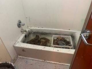 Conditions inside the Sakura So Residence on Powell Street in Vancouver's Downtown Eastside.